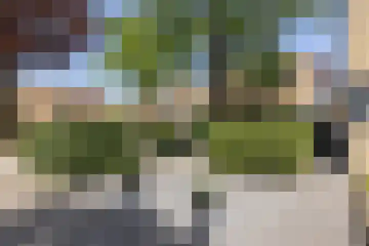Diepenbrocklaan 17 Losser thumbnail 7