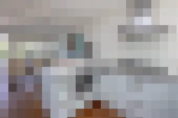 Diepenbrocklaan 17 Losser thumbnail 8