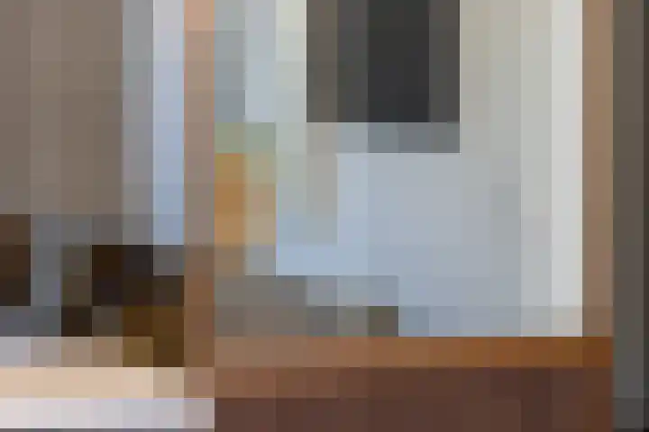 Diepenbrocklaan 18 Rotterdam thumbnail 10