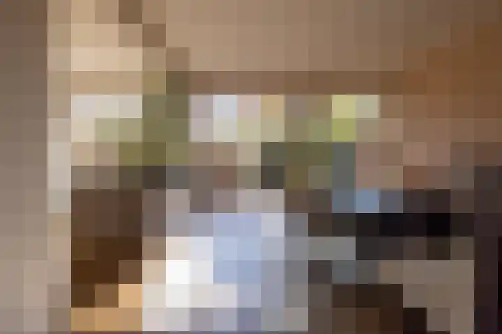 Diepenbrocklaan 18 Rotterdam thumbnail 12