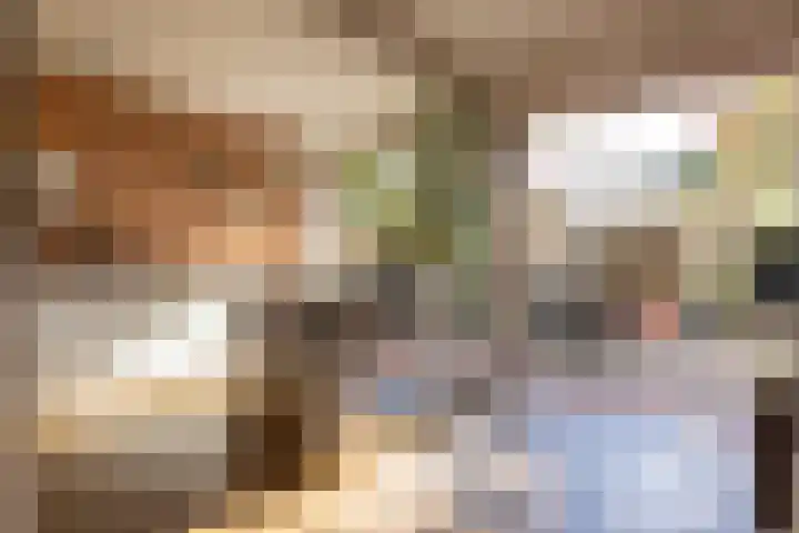 Diepenbrocklaan 18 Rotterdam thumbnail 13