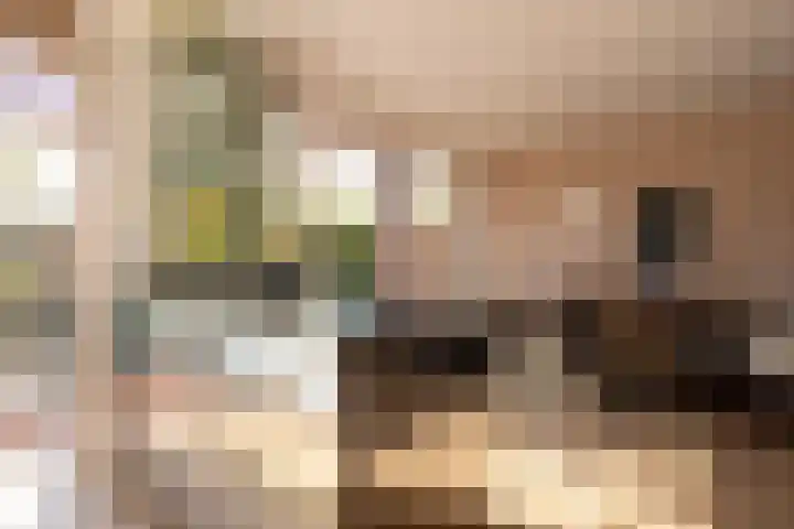Diepenbrocklaan 18 Rotterdam thumbnail 16
