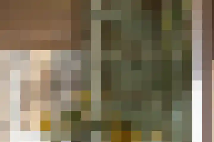 Diepenbrocklaan 18 Rotterdam thumbnail 17