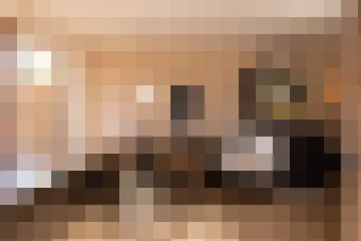 Diepenbrocklaan 18 Rotterdam thumbnail 18
