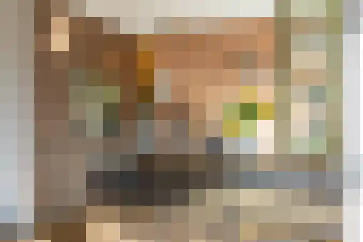 Diepenbrocklaan 18 Rotterdam thumbnail 19