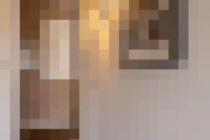 Diepenbrocklaan 18 Rotterdam thumbnail 23