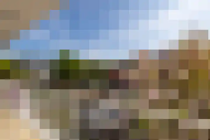 Diepenbrocklaan 18 Rotterdam thumbnail 31