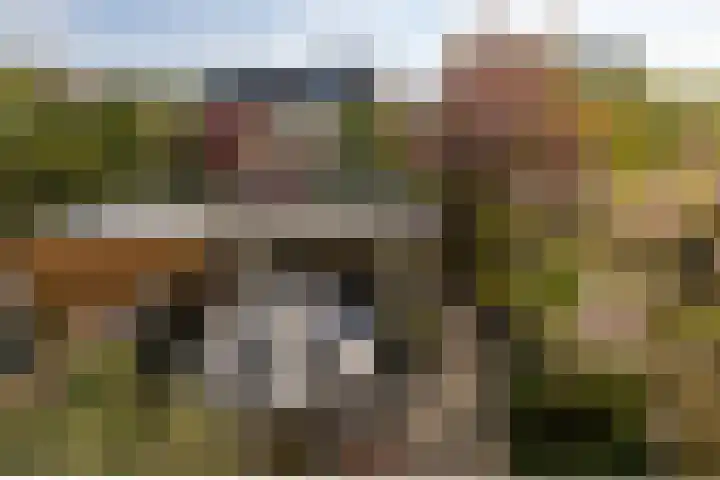 Diepenbrocklaan 18 Rotterdam thumbnail 32