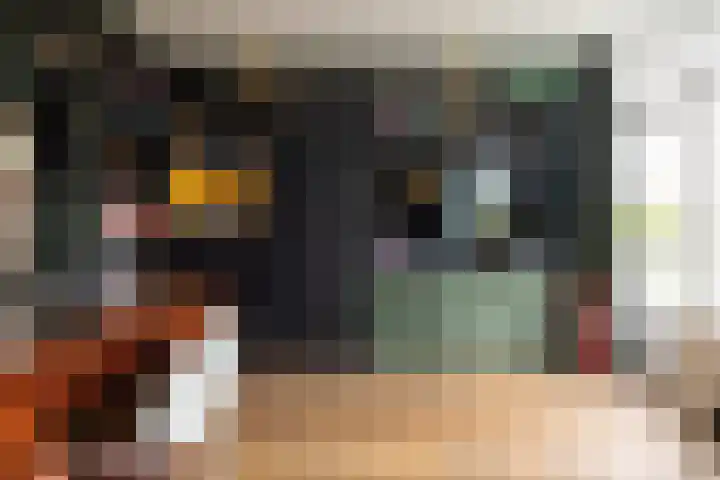 Diepenbrocklaan 18 Rotterdam thumbnail 33