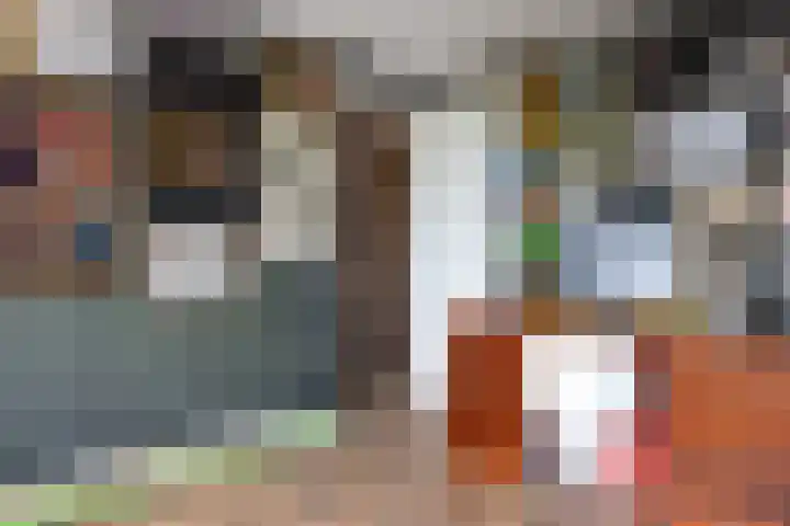 Diepenbrocklaan 18 Rotterdam thumbnail 34