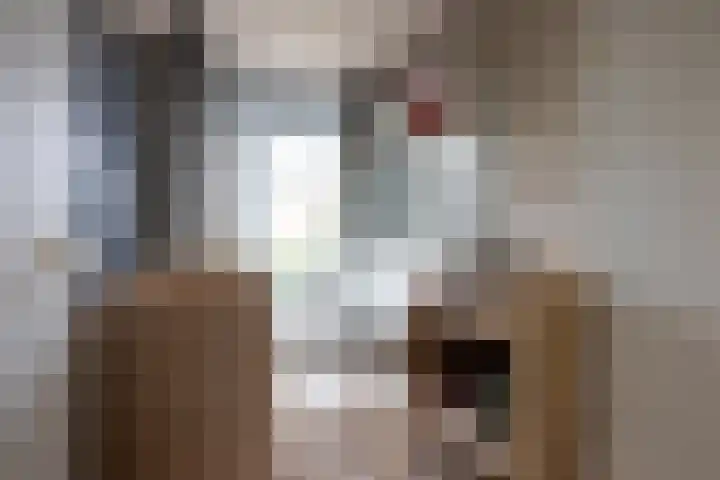 Diepenbrocklaan 18 Rotterdam thumbnail 36