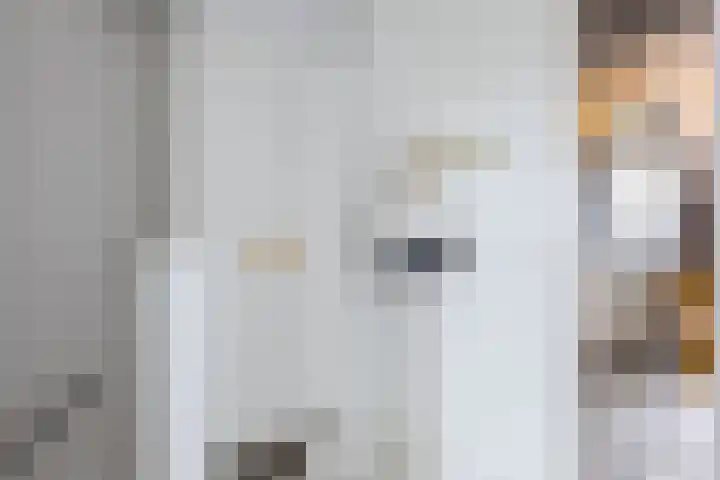 Diepenbrocklaan 18 Rotterdam thumbnail 37