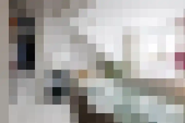 Diepenbrocklaan 18 Rotterdam thumbnail 38