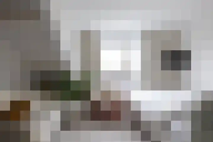 Diepenbrocklaan 18 Rotterdam thumbnail 39