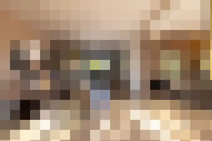Diepenbrocklaan 18 Rotterdam thumbnail 4