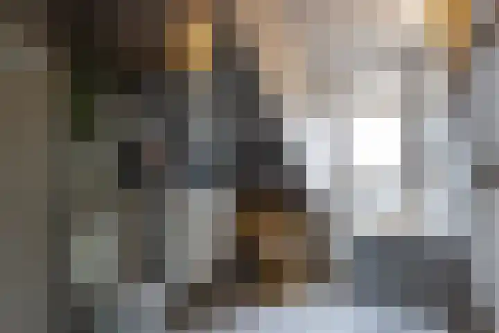 Diepenbrocklaan 18 Rotterdam thumbnail 44