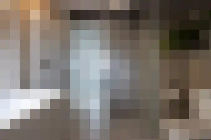 Diepenbrocklaan 18 Rotterdam thumbnail 45