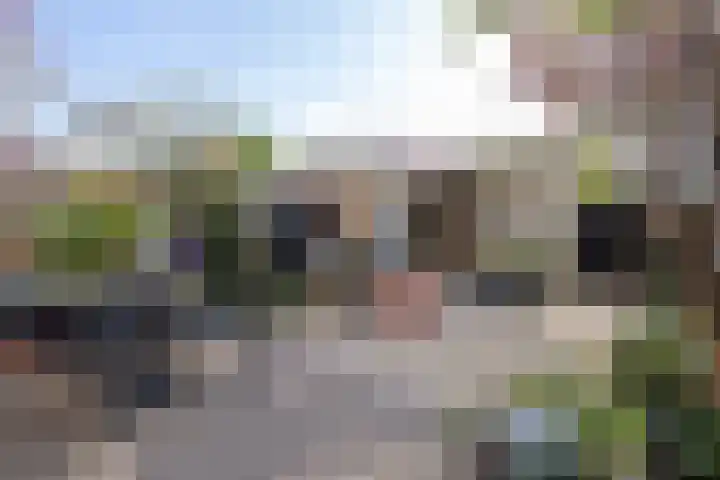 Diepenbrocklaan 18 Rotterdam thumbnail 50