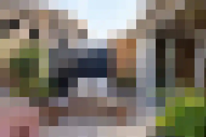Diepenbrocklaan 18 Rotterdam thumbnail 51