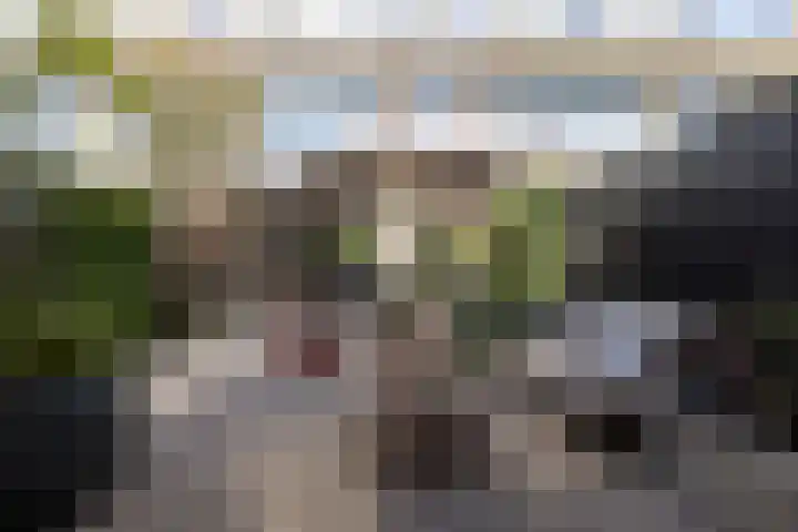 Diepenbrocklaan 18 Rotterdam thumbnail 52