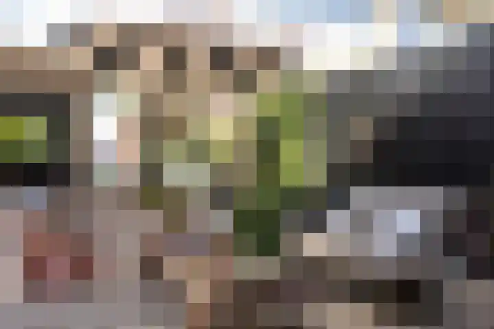 Diepenbrocklaan 18 Rotterdam thumbnail 55