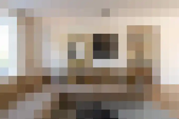 Diepenbrocklaan 18 Rotterdam thumbnail 8