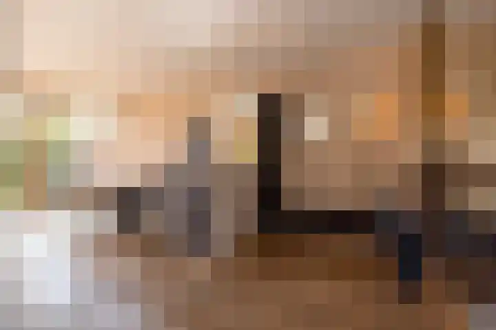 Diepenbrocklaan 18 Rotterdam thumbnail 9