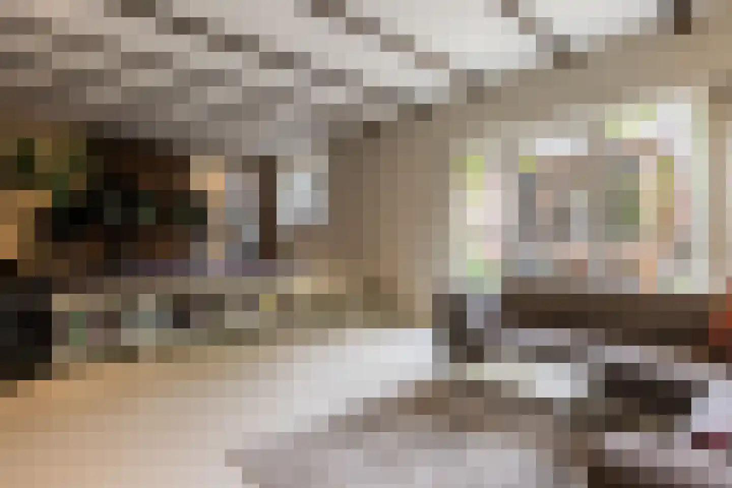 Diepenbrocklaan 19 Arnhem thumbnail 13