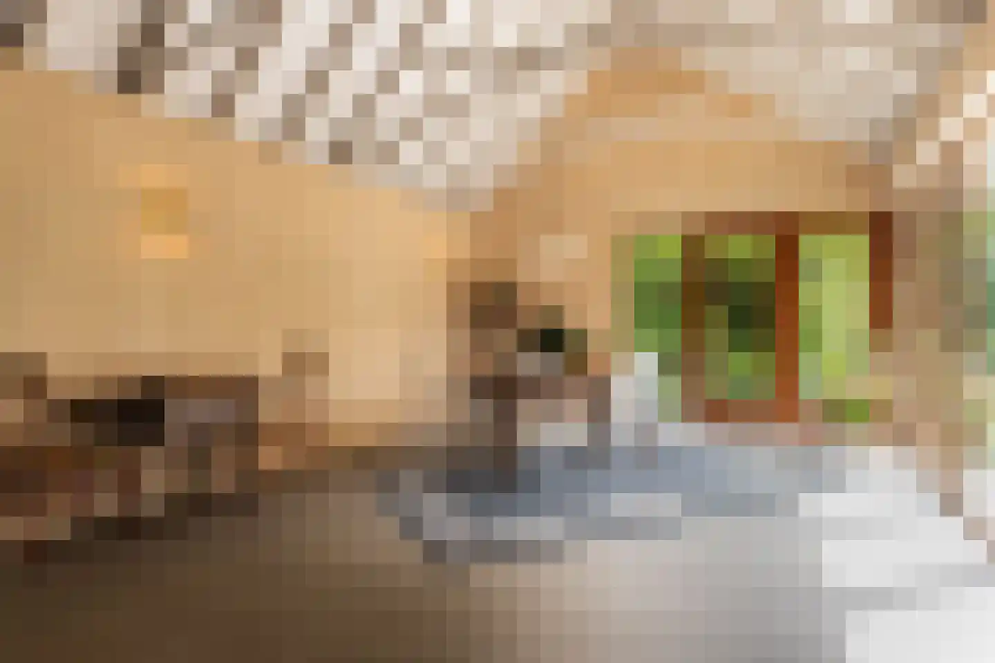 Diepenbrocklaan 19 Arnhem thumbnail 20