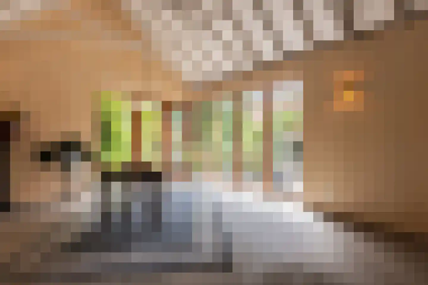 Diepenbrocklaan 19 Arnhem thumbnail 21