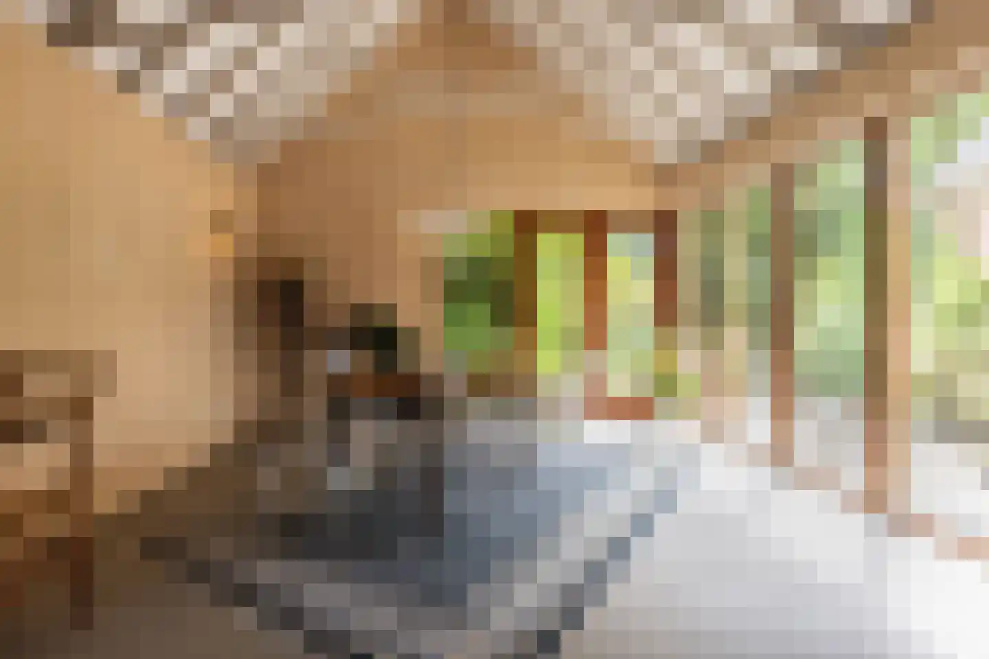 Diepenbrocklaan 19 Arnhem thumbnail 22