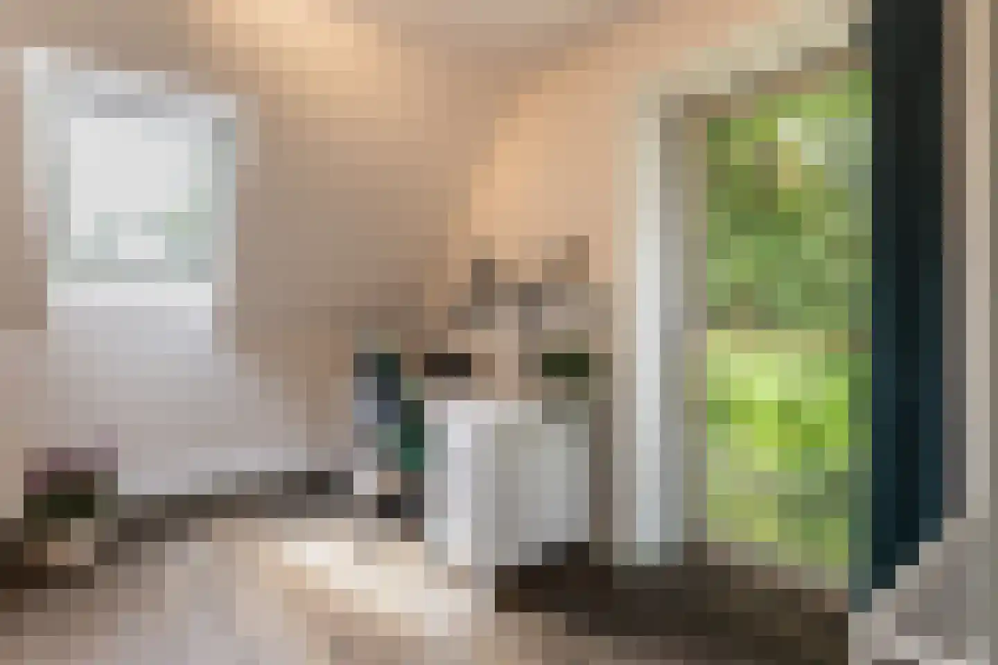 Diepenbrocklaan 19 Arnhem thumbnail 29