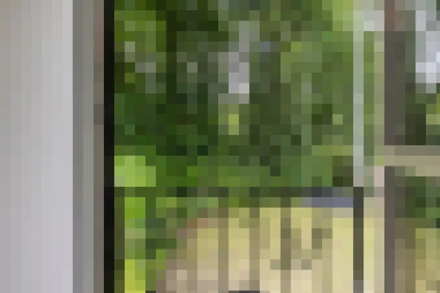 Diepenbrocklaan 19 Arnhem thumbnail 30