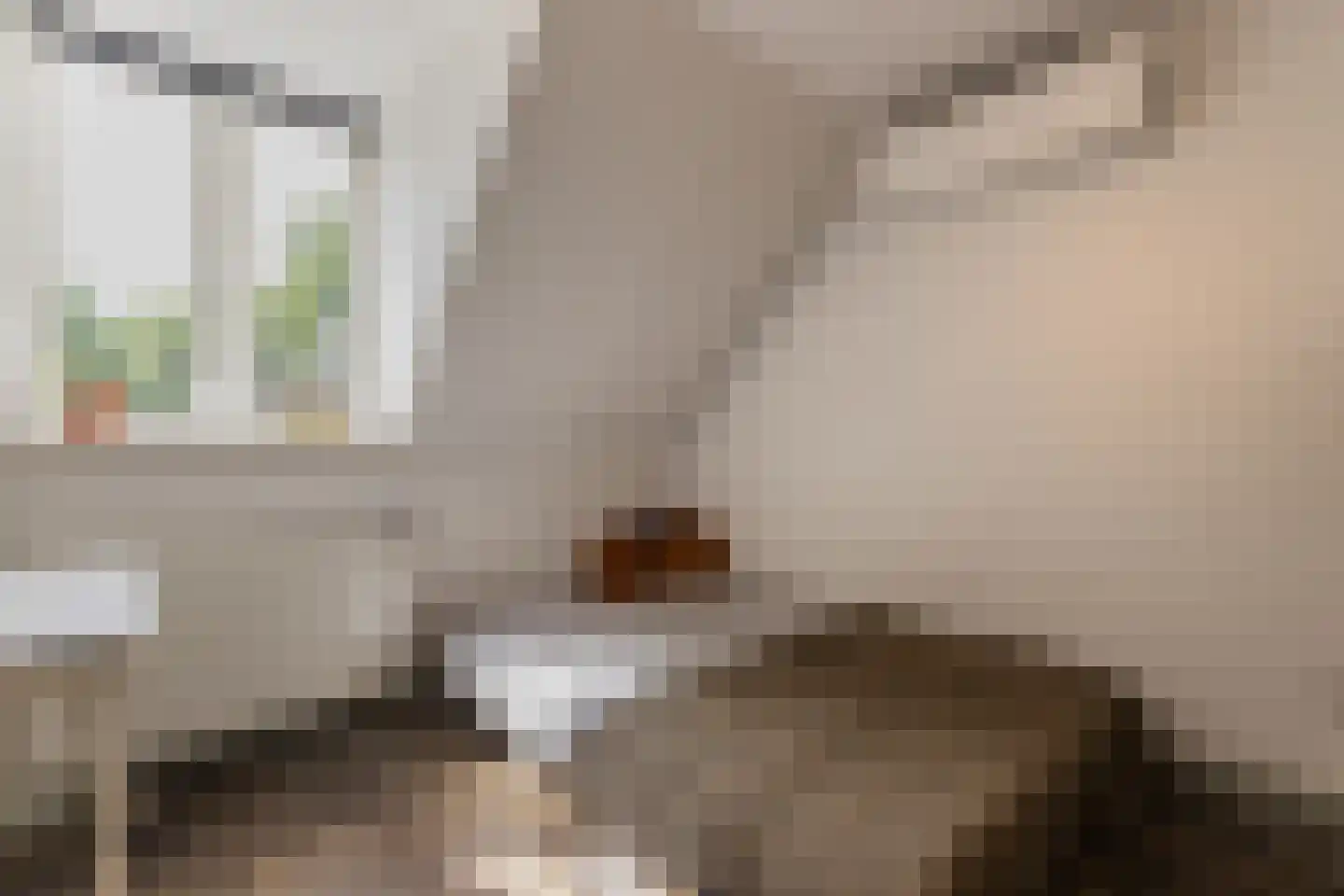 Diepenbrocklaan 19 Arnhem thumbnail 31