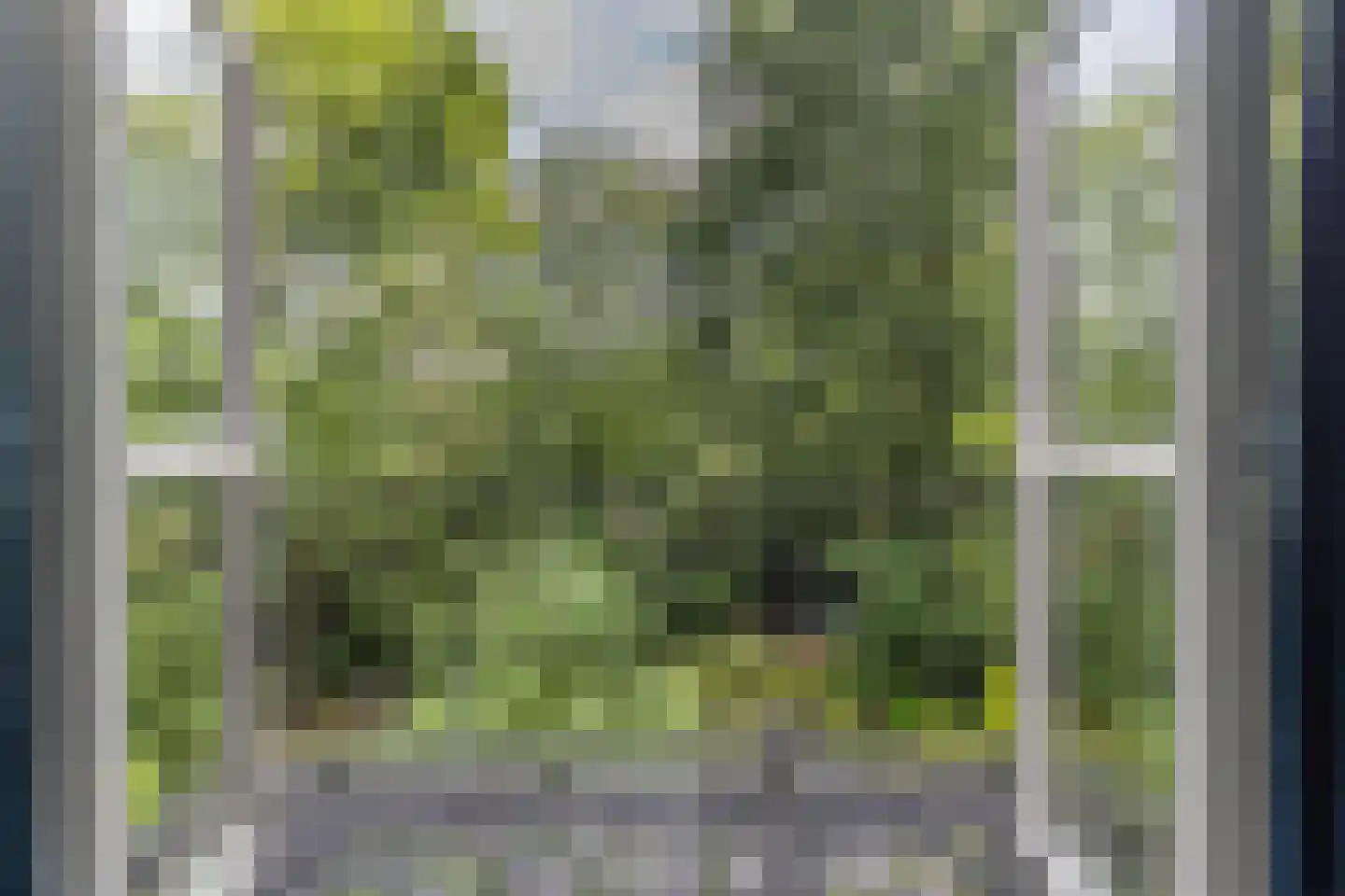 Diepenbrocklaan 19 Arnhem thumbnail 36