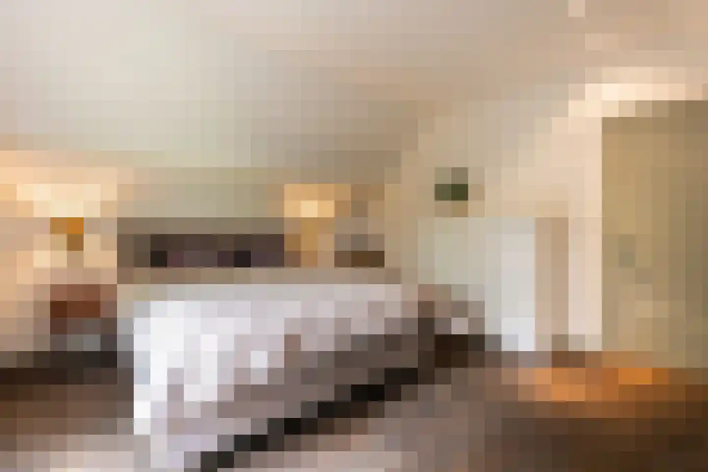 Diepenbrocklaan 19 Arnhem thumbnail 37