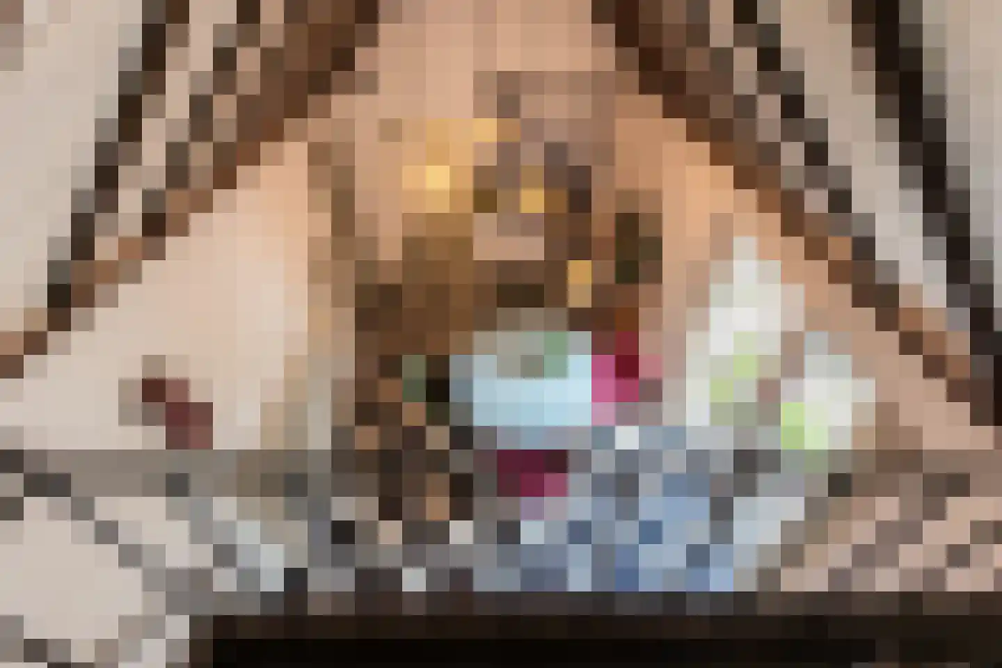 Diepenbrocklaan 19 Arnhem thumbnail 38