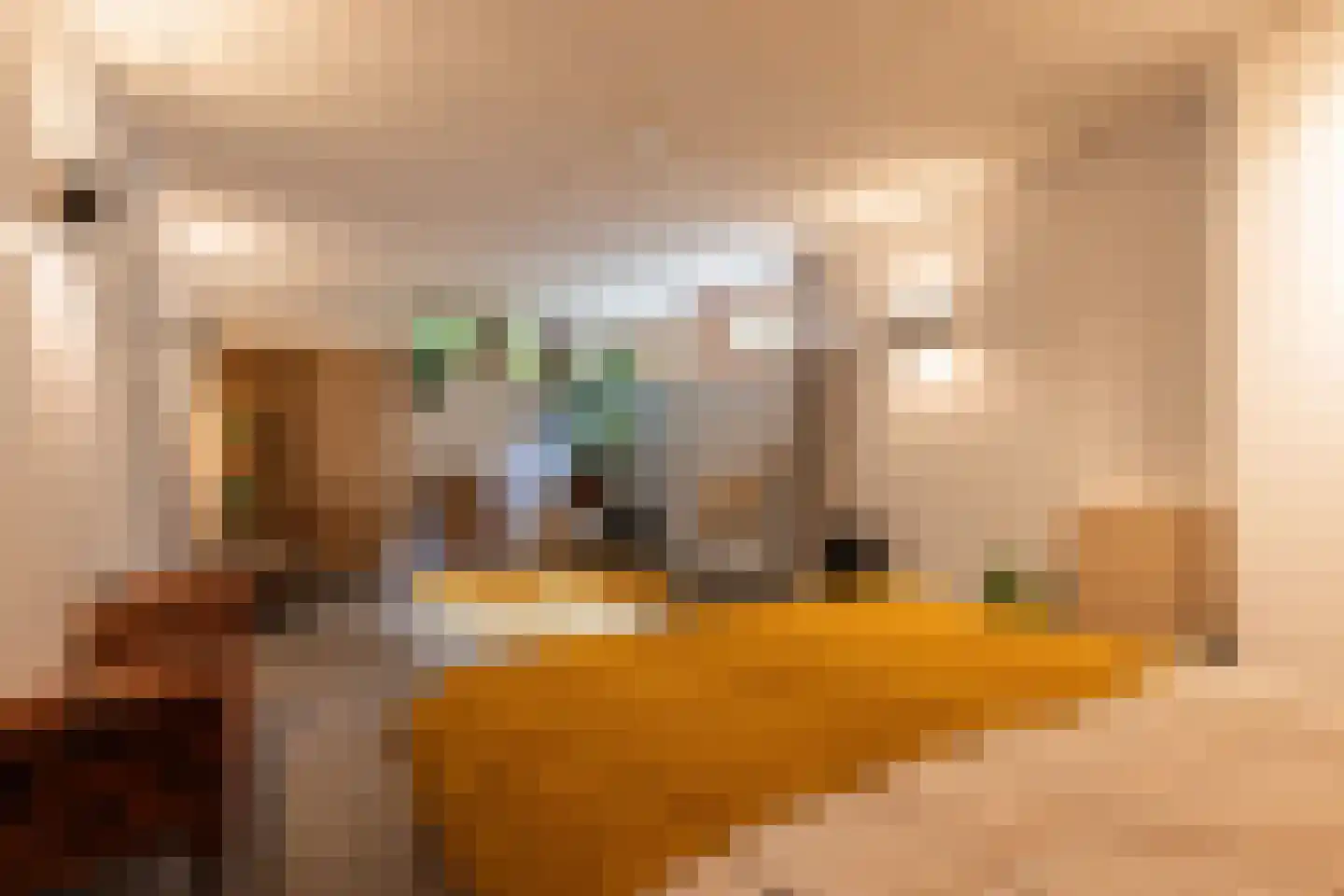Diepenbrocklaan 19 Arnhem thumbnail 39