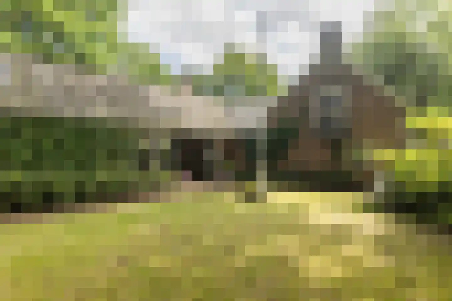 Diepenbrocklaan 19 Arnhem thumbnail 4