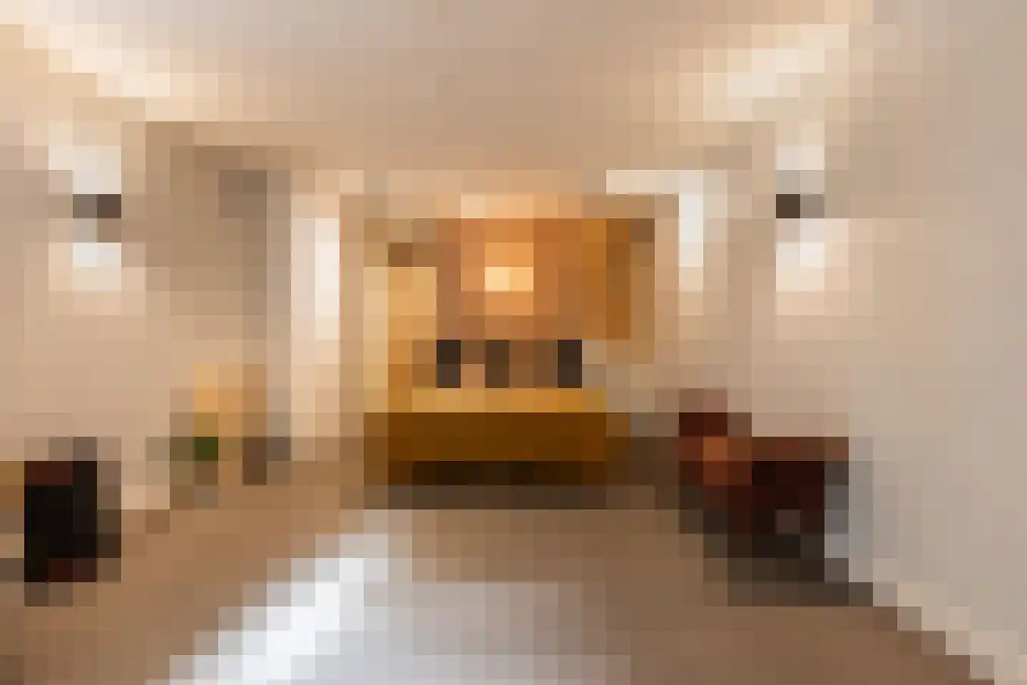 Diepenbrocklaan 19 Arnhem thumbnail 40