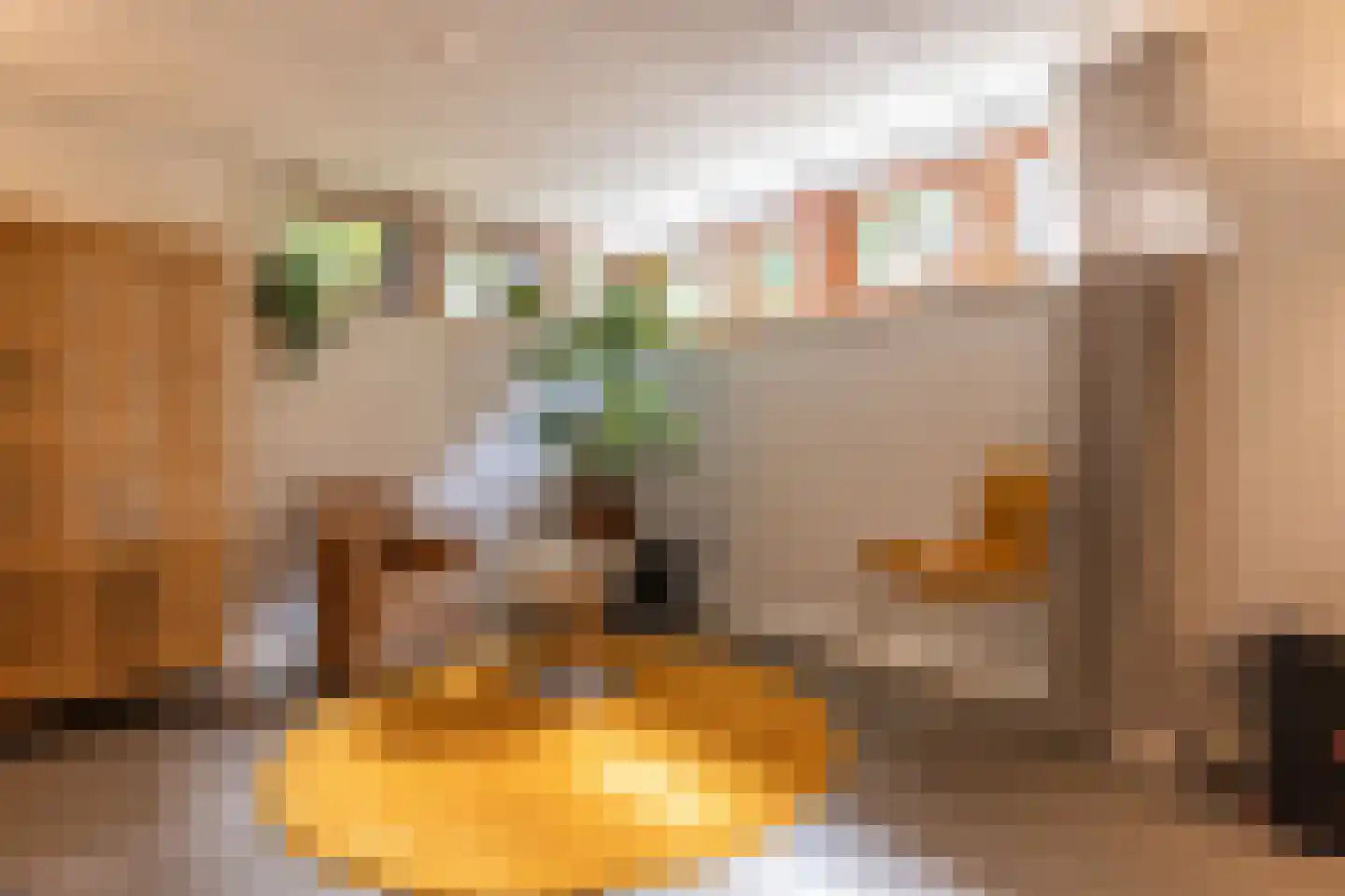 Diepenbrocklaan 19 Arnhem thumbnail 43