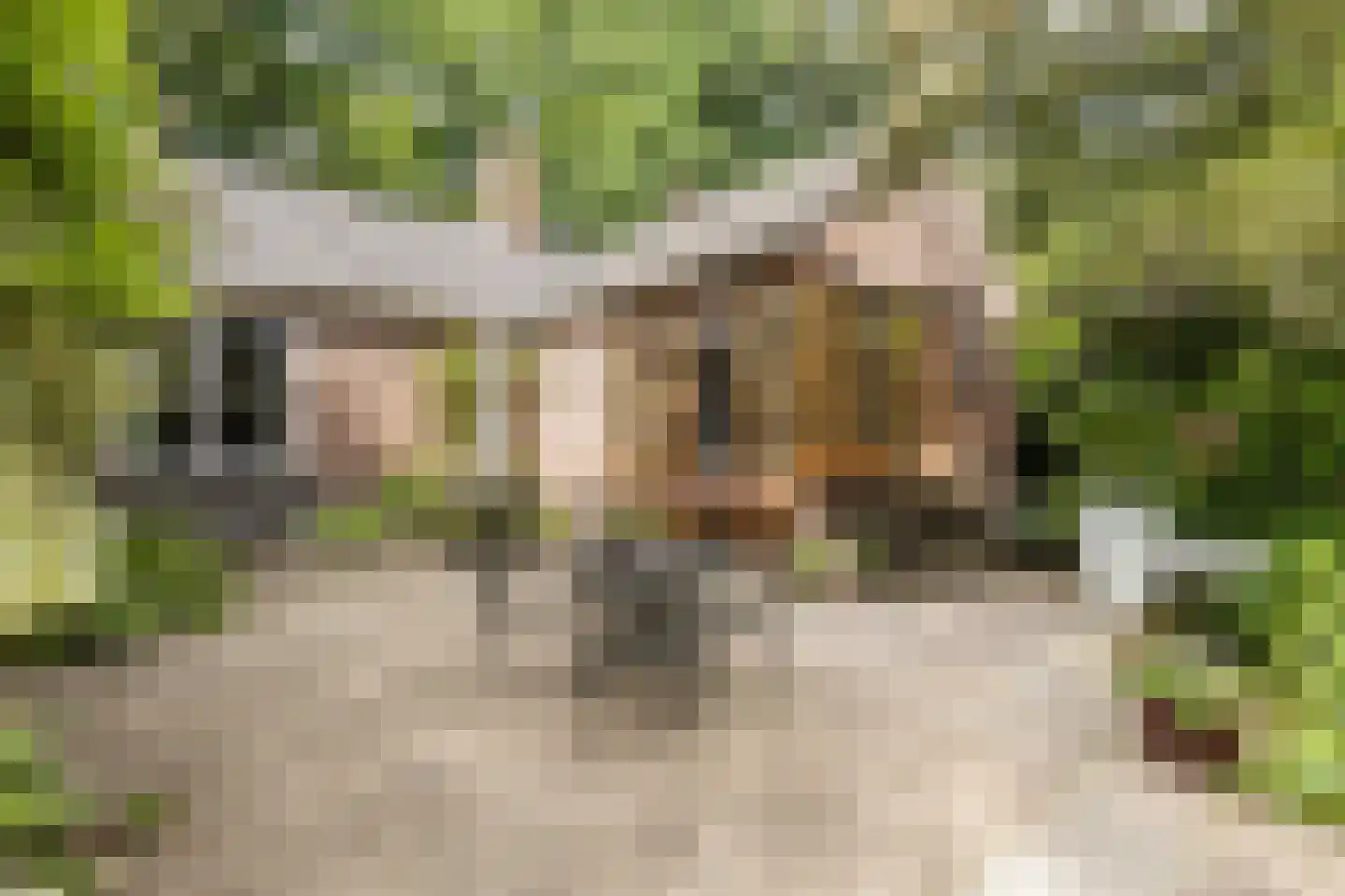 Diepenbrocklaan 19 Arnhem thumbnail 45
