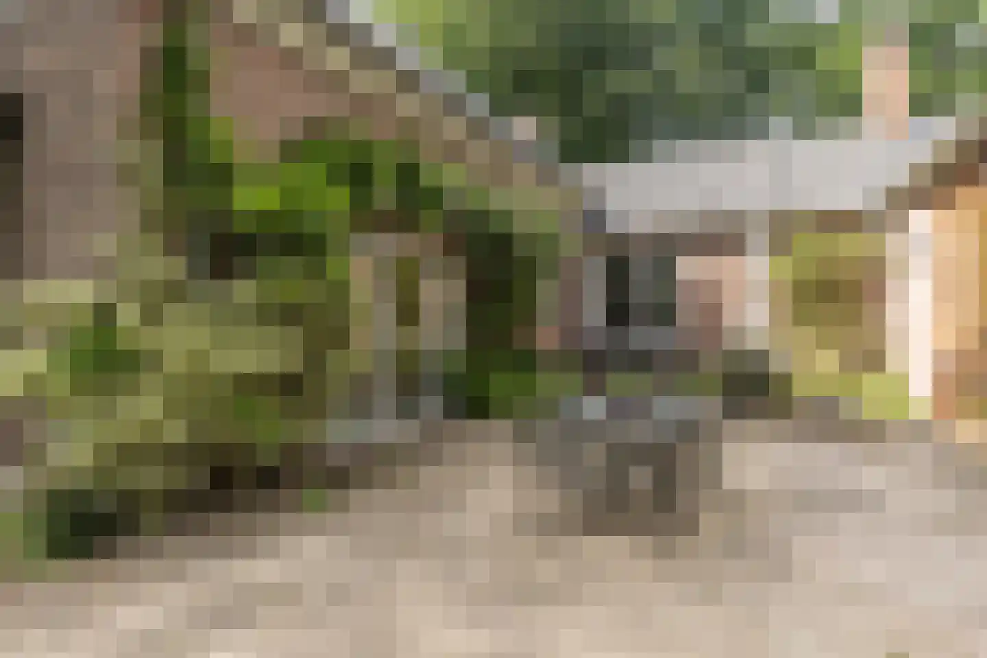 Diepenbrocklaan 19 Arnhem thumbnail 46