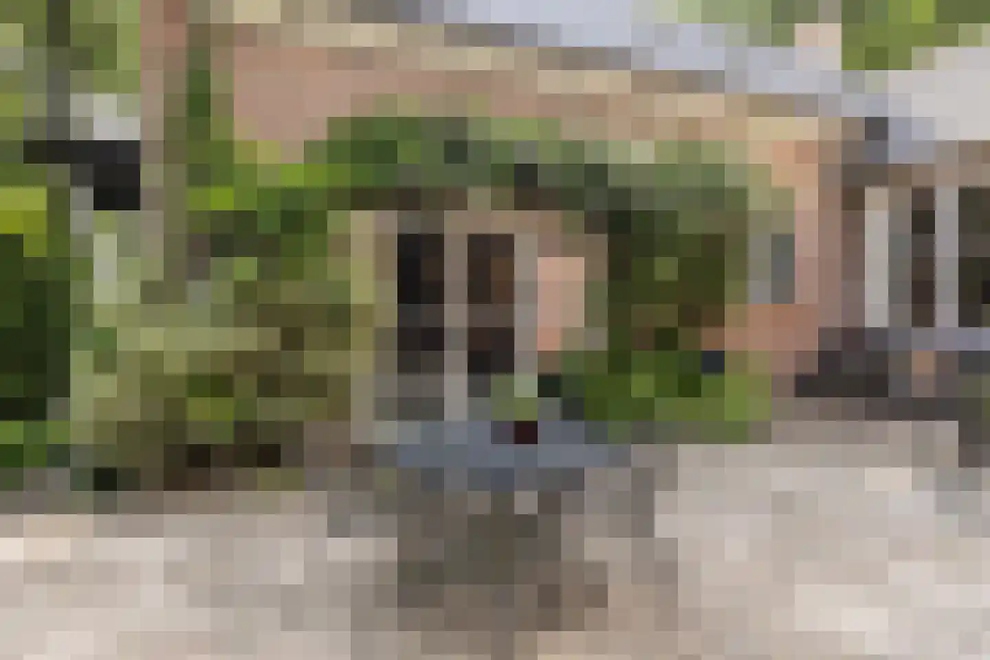 Diepenbrocklaan 19 Arnhem thumbnail 47