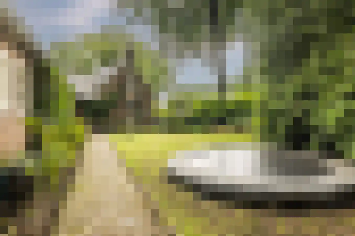 Diepenbrocklaan 19 Arnhem thumbnail 5