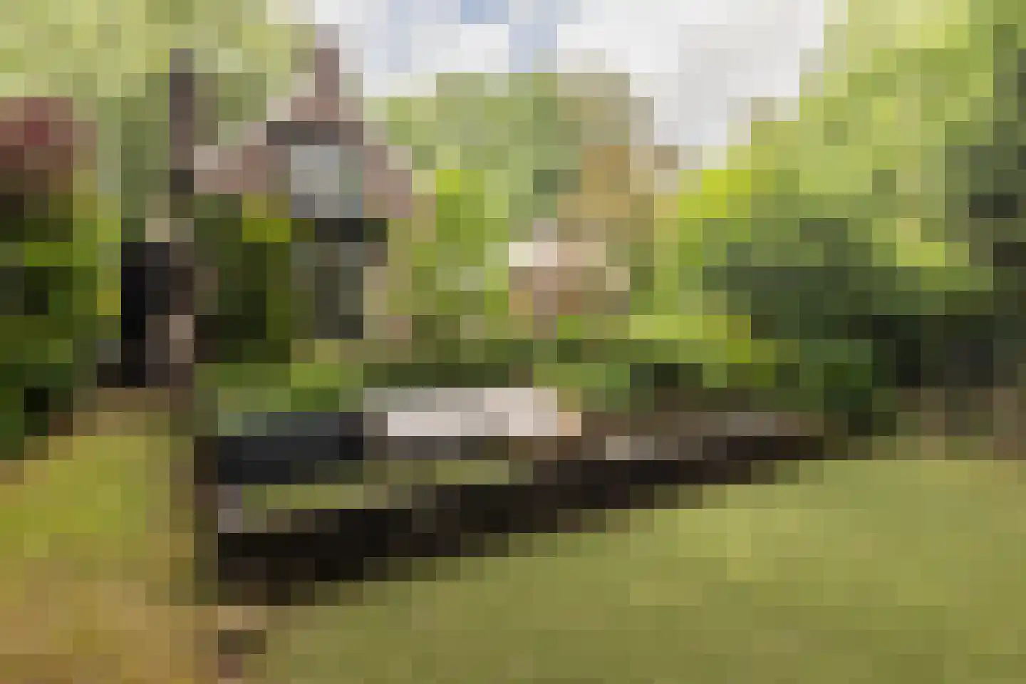 Diepenbrocklaan 19 Arnhem thumbnail 50