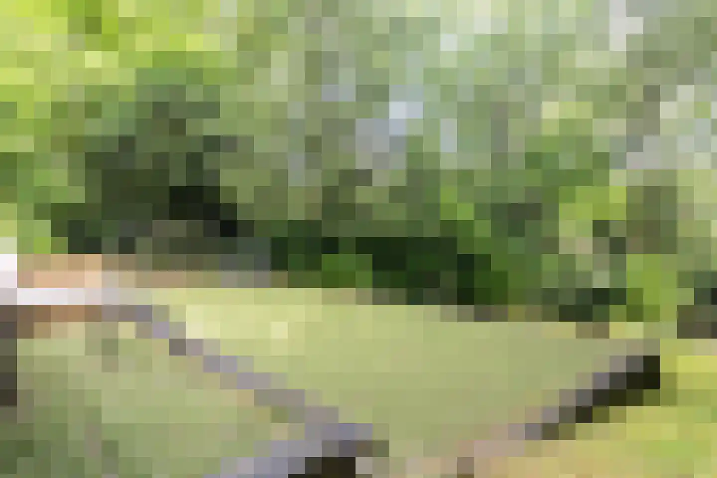 Diepenbrocklaan 19 Arnhem thumbnail 52
