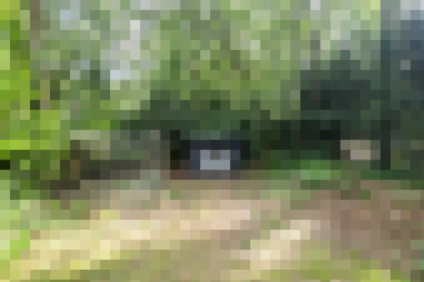 Diepenbrocklaan 19 Arnhem thumbnail 53
