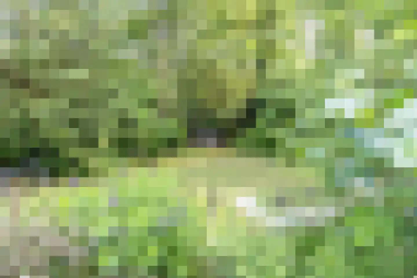 Diepenbrocklaan 19 Arnhem thumbnail 54