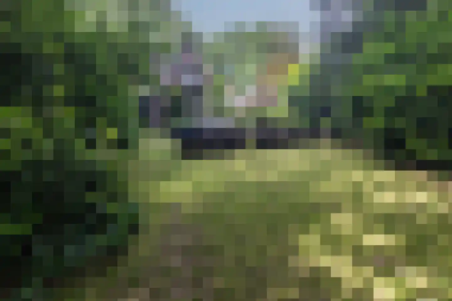 Diepenbrocklaan 19 Arnhem thumbnail 55